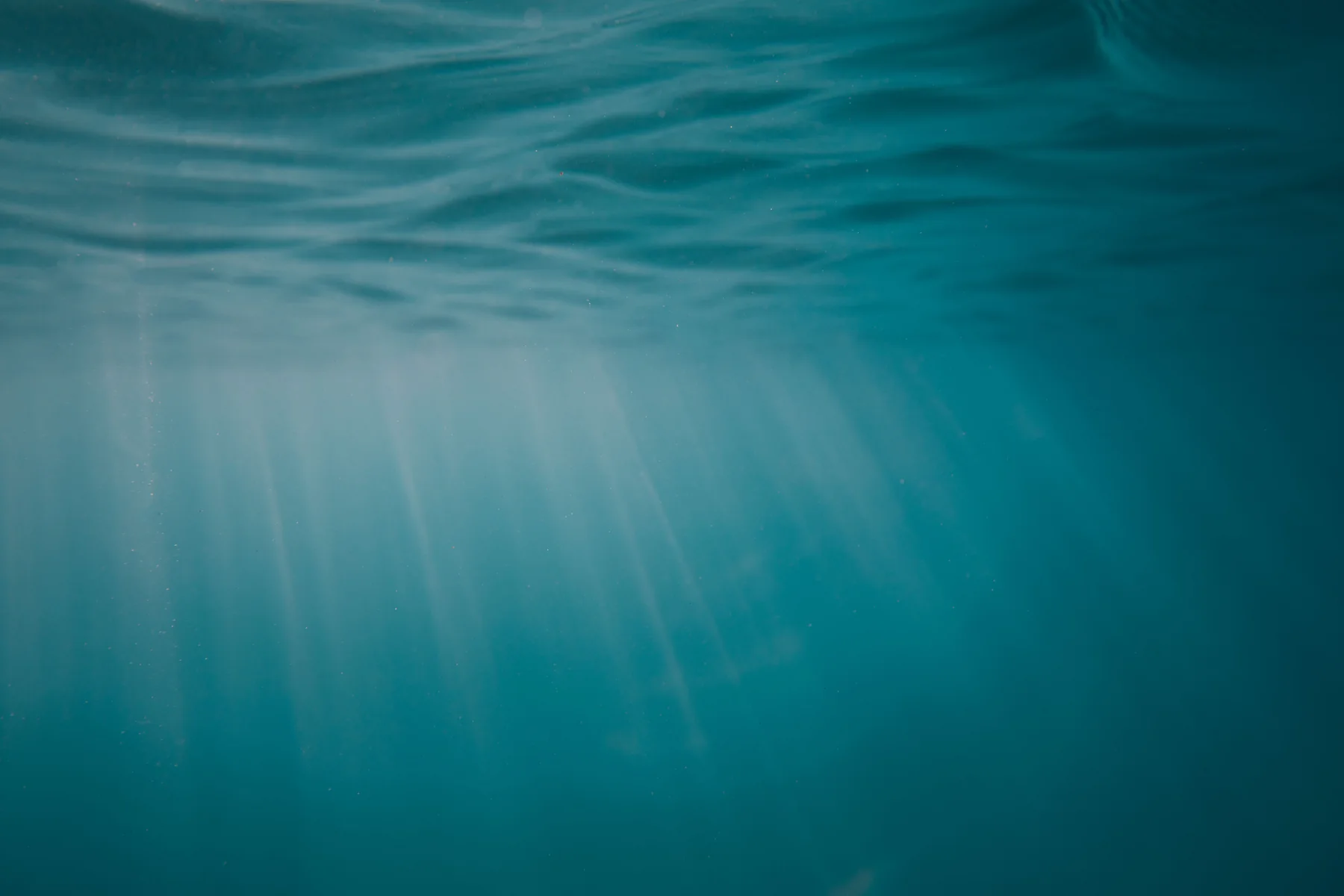 光线穿过水面的水下场景